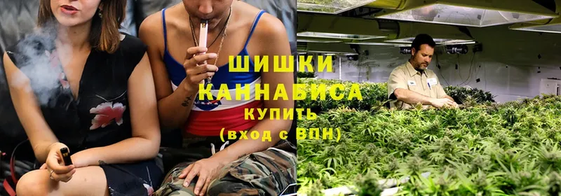 Бошки Шишки White Widow  кракен как войти  Россошь 